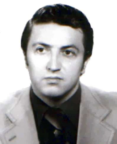 Властимир Дамњановић, 1978-1982.
