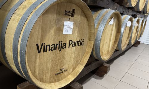 PanticVino5